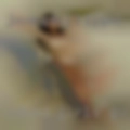 Naked girls Gulfport