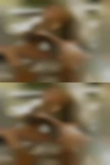 Horny older woman Tucson